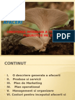 Plan de Afaceri Ciupercarie