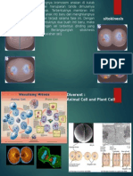 Telofase Dan Sitokinesis