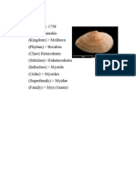 Classification of Pelecypoda and other marine invertebrates