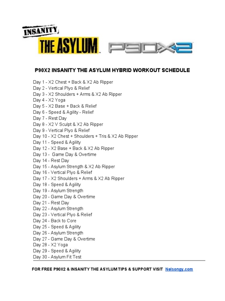 p90x2-and-insanity-the-asylum-schedule-pdf