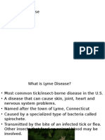 Lyme Disease