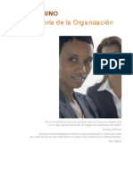 01_La_teoria_de_las_organizaciones.pdf