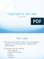 copyright and fair use