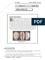 III Bim - 5to. Año - Bio - Guía 3 - Reino Animal III