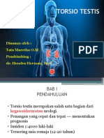 Torsio Testis