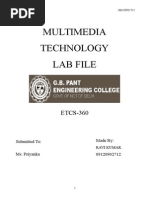 Multimedia