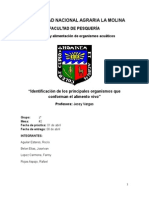 Nutri-Informe Casi Listo