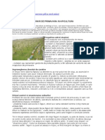 91630651-APICULTURA.pdf