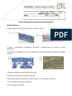 ExercÃ-cios (2Â V.A.)