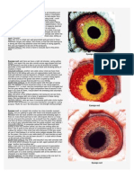 Eye Sign Examples 