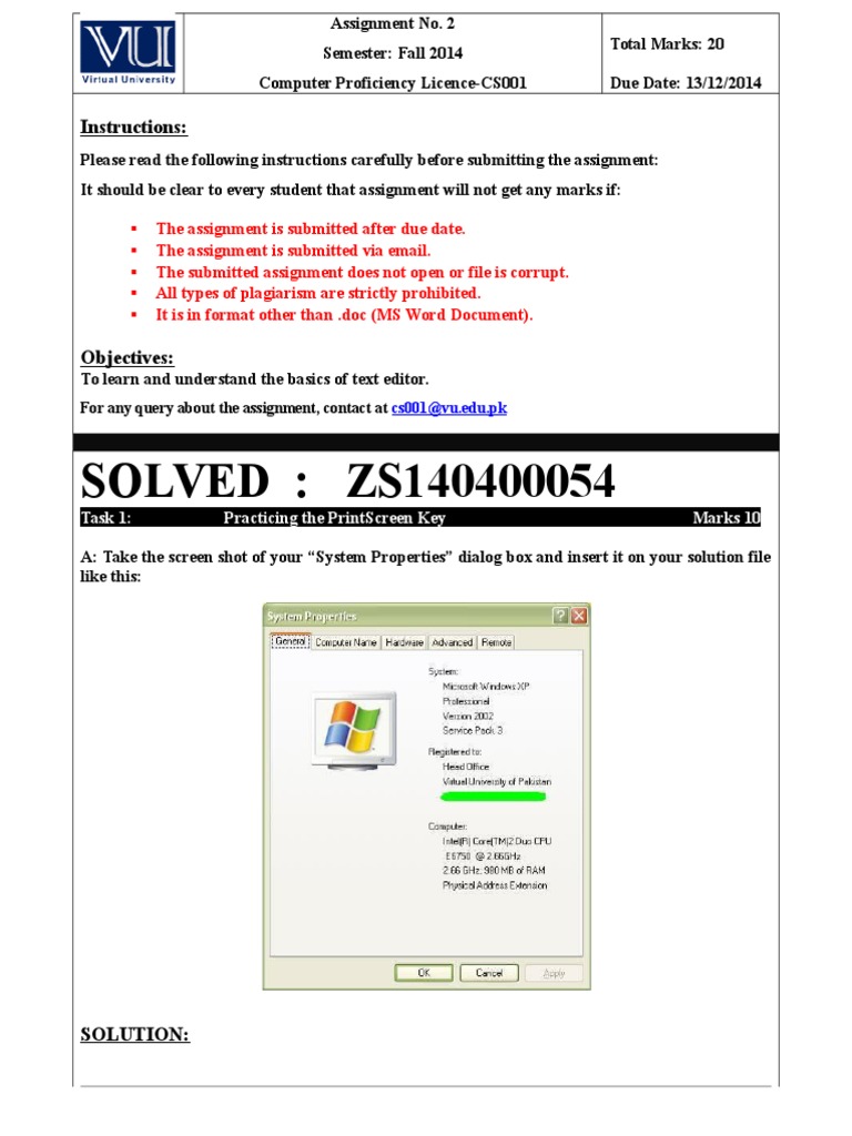 Computer Proficiency Assignment Guide | PDF | Art | Computers