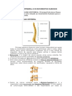 1º Ano Coluna Vertebral e Os Movimentos Humanos