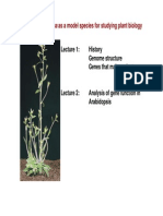 Arabidopsis thaliana