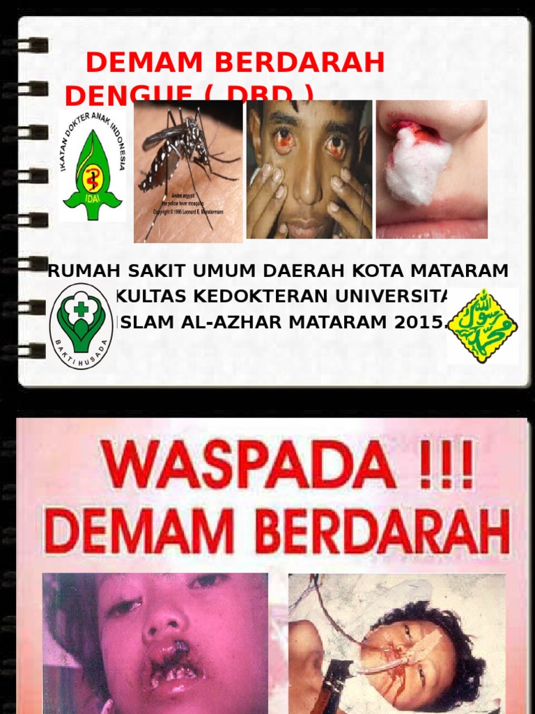 Penyuluhan DBD | PDF