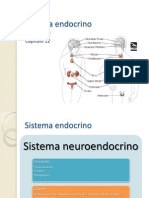 Sistema Endocrino