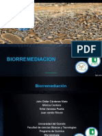 Expo Biorremediacion