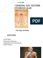 1° Clase Anatomía