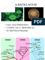 Clase 6 - Bacillaceae