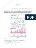 Hpo Axis