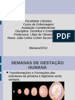 95689604 Semanas de Gestacao Humana