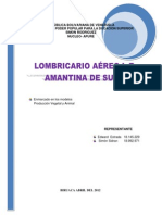 La Amantina de Sucre Historia PDF