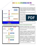 Origem, transporte e metabolismo da bilirrubina