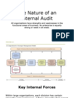 The Nature of An Internal Audit