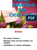 Caso Hematologia 1505