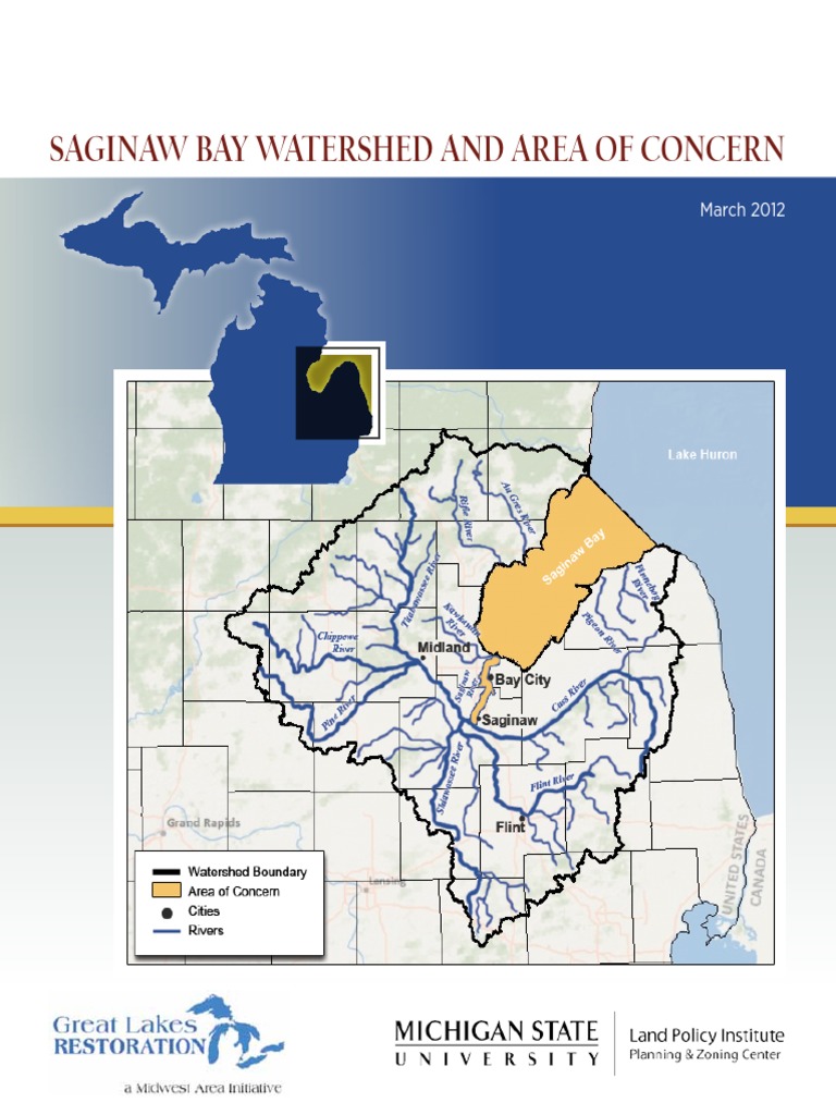 Saginaw Bay Watershed Overview | PDF | Eutrophication | Great Lakes