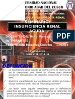 Injuria Renal Aguda