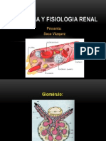 Anatomia y Fisiologia Renal para DP - Estructura de Filtracion