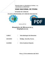 Informe 2 de Microbiologia