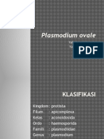 Plasmodium Ovalee