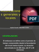 98481315-Modificaciones-Locales-y-Generales-Ppt.ppt