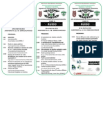 Triptico Programa PDF
