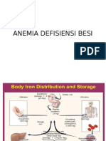 Anemia Defisiensi Besi