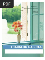 TRABALHO DA Educação Moral e Cívica