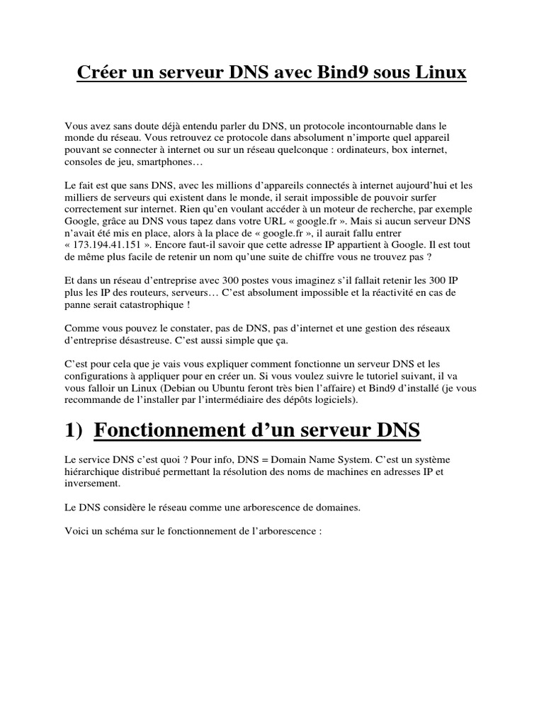Serveur DNS avec Bind9 sous Linux | PDF | Réseau étendu | OSI protocols