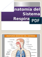 Clase 4 Anatomia Sist Respirator I o