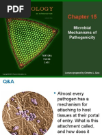 Pathology Mcq Infectious Disease Pdf Pdf Infection Bacteria