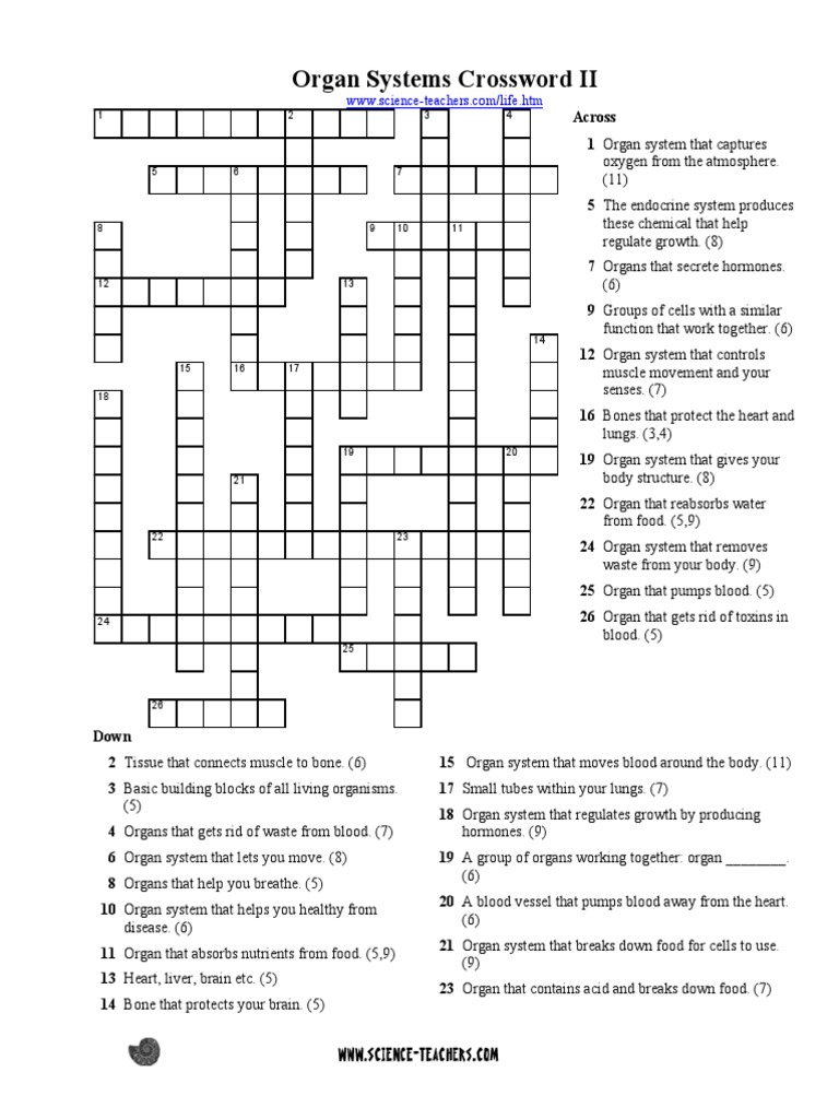 Crossword PDF