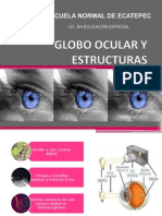 Globo Ocular