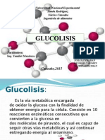 Bioquimica Exposicion Glucolisis