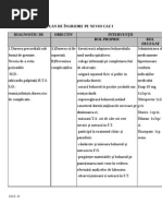 Plan de Ingrijire HTA