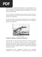 Formação do espaço agrário brasileiro.docx