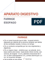 Unidad 1 Digestivo 2 Faringe Esofago (1)