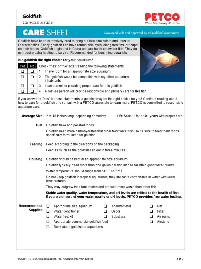 Goldfish | PDF | Aquarium | Fish And Humans