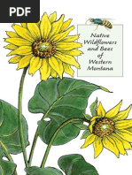 Bee Swarm Simulator Nectar Guide | PDF | Bees | Beekeeping