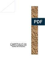 CAPITULO III.ANALISIS DE LA EMPRESA.doc