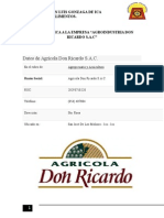 Informe Don Ricardo para Foc